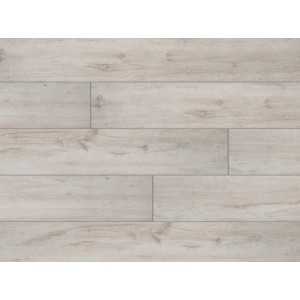 CLASSEN STUTTGART 4V 47907 DUB DUREN