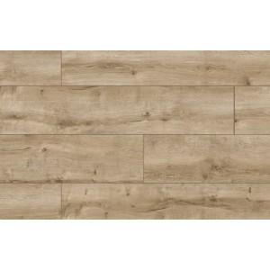 ARTEO AQUA protect 8 XL 54820 DUB PICOS