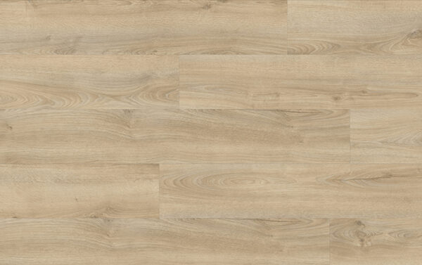 XpertPRO ELECTO DUB KENTUCKY 83226Q